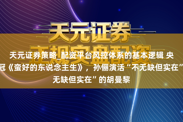 天元证券策略_配资平台风控体系的基本逻辑 央八收视年冠《蛮好的东说念主生》，孙俪演活“不无缺但实在”的胡曼黎