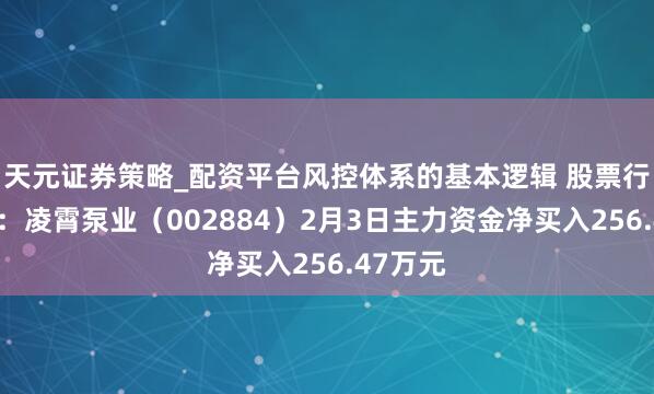 天元证券策略_配资平台风控体系的基本逻辑 股票行情快报：凌霄泵业（002884）2月3日主力资金净买入256.47万元